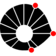 State University of Campinas